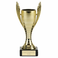 Mercury Cup Silver Trophy