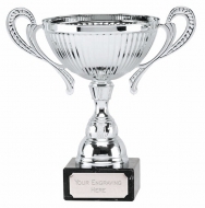 Turin Silver Presentation Cup