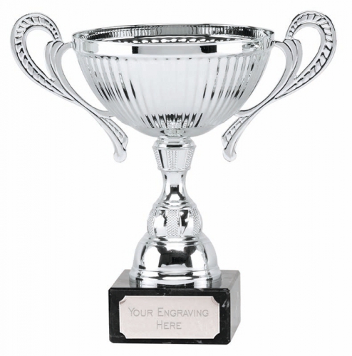 Turin Silver Presentation Cup