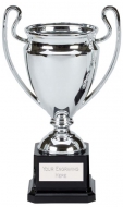 Mirror Presentation Cup Trophy Award 7.5 Inch (19cm) : New 2020
