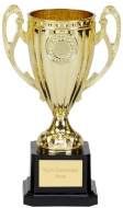 Perth Presentation Cup Trophy Award Gold 7 Inch (17.5cm) : New 2020