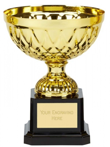 Tweed Mini Presentation Cup Trophy Award Gold 5 Inch (12.5cm) : New 2020