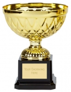 Tweed Mini Presentation Cup Trophy Award Gold 5.75 Inch (14.5cm) : New 2020