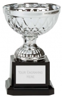 Tweed Mini Presentation Cup Trophy Award Silver 4.75 Inch (12cm) : New 2020