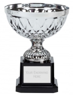 Tweed Mini Presentation Cup Trophy Award Silver 5 Inch (12.5cm) : New 2020