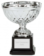 Tweed Mini Presentation Cup Trophy Award Silver 5.75 Inch (14.5cm) : New 2020