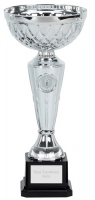 Tweed Presentation Cup Trophy Award 10.75 Inch (27cm) : New 2020