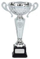 Tweed Presentation Cup Trophy Award with Handles 11 inch (28cm) : New 2020