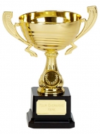 Motion Gold Presentation Cup Trophy Award 7.5 Inch (19cm) : New 2020