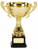 Motion Gold Presentation Cup Trophy Award 8.5 Inch (21.5cm) : New 2020