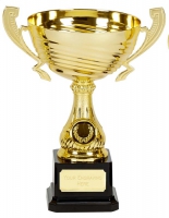 Motion Gold Presentation Cup Trophy Award 8.5 Inch (21.5cm) : New 2020
