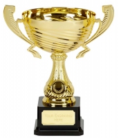 Motion Gold Presentation Cup Trophy Award 9 7/8 Inch (25cm) : New 2020