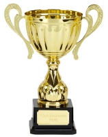Link Track Trophy Award Gold Presentation Cup Trophy Award 10.5 Inch (26.5cm) : New 2020