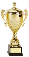 Link Apex Gold Presentation Cup Trophy Award 15 inch (38cm) : New 2020