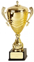 Link Apex Gold Presentation Cup Trophy Award 22 3/8 Inch (56.5cm) : New 2020