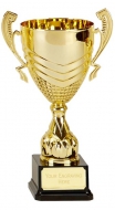 Link Gold Presentation Cup Trophy Award 12 Inch (30.5cm) : New 2020
