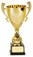 Link Gold Presentation Cup Trophy Award 13.75 Inch (35cm) : New 2020
