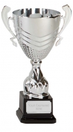 Link Silver Presentation Cup Trophy Award 9.75 Inch (24.5cm) : New 2020