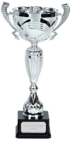 Aurora Silver Presentation Cup Trophy Award 18.75 Inch (47.5cm) : New 2020