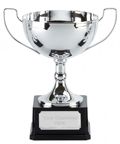 Elite Vista Presentation Cup Trophy Award 10.5 Inch (26.5cm) : New 2020