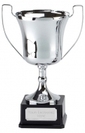 Elite Pro Presentation Cup Trophy Award 12 5/8 Inch (32cm) : New 2020