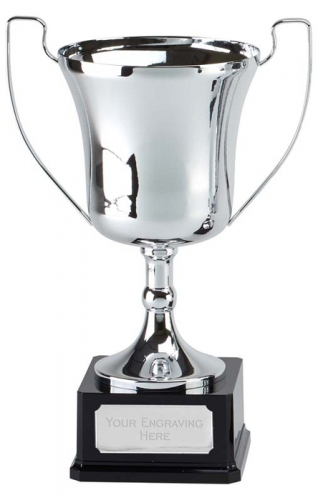 Elite Pro Presentation Cup Trophy Award 14 1/8 Inch (36cm) : New 2020