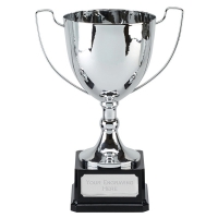 Elite Ace Presentation Cup Trophy Award 15.75 Inch (39.5cm) : New 2020