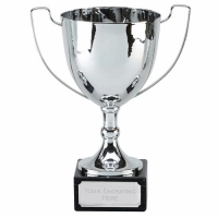 Elite Champion Presentation Cup Trophy Award 9 7/8 Inch (25cm) : New 2020