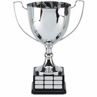 Elite Perpetual Presentation Cup Trophy Award 12 5/8 Inch (32cm) : New 2020