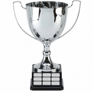 Elite Perpetual Presentation Cup Trophy Award 14 Inch (35.5cm) : New 2020