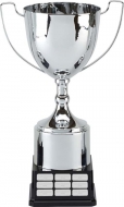 Elite Perpetual XL Presentation Cup Trophy Award 14.5 Inch (36.5cm) : New 2020