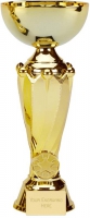 Tower Gold Presentation Cup Trophy Award 10.75 Inch (27cm) : New 2020