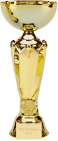 Tower Gold Presentation Cup Trophy Award 11 inch (28cm) : New 2020