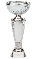 Tower Tweed Silver Presentation Cup Trophy Award 10 7/8 Inch (27.5cm) : New 2020