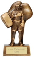 Soul Boxing Trophy Award 6.25 Inch (16cm) : New 2020