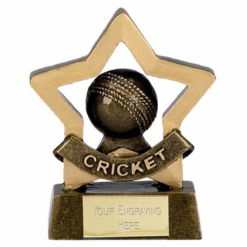 Mini Star Cricket AGGT 3.25 Inch