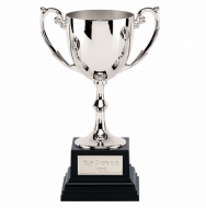 Recognition Silver Cast Presentation Cup Award Silver 4.5 Inch