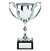 Silver Recognition Cast Cup on a Marble Base 13cm (5 1/8