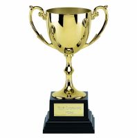 Recognition Gold Nickel Plated Presentation Cup On A Heavyweight Base 17cm (6 3/4