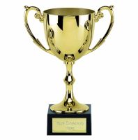 Gold Recognition Cast Cup on a Marble Base 15cm (6