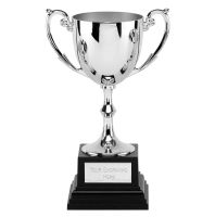 Recognition Silver Nickel Plated Presentation Cup On A Heavyweight Base 17cm (6 3/4