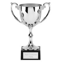 Silver Recognition Cast Cup on a Marble Base 15cm (6