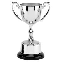 Recognition Nickel Plated Cast Metal Cup With Engraveable Plinth 19.5cm (7 3/4