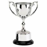 Recognition Silver Cast Presentation Cup Award Silver 9 Inch