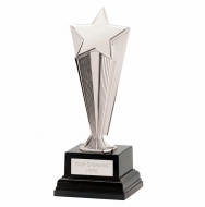 Recognition Award Star