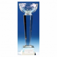 Team Cup Crystal 8.75 Inch (22cm) : New 2019