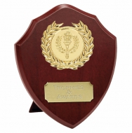 Triumph6 Presentation Shield Trophy Award 6 Inch (15cm) : New 2020