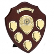 Triumph8 Gold Annual Shield