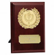 Prize6 Presentation Plaque Trophy Award 6 inch (15cm) : New 2020